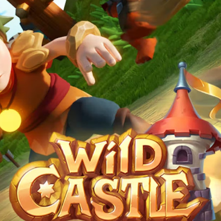 Wild Castle TD: Растущая империя